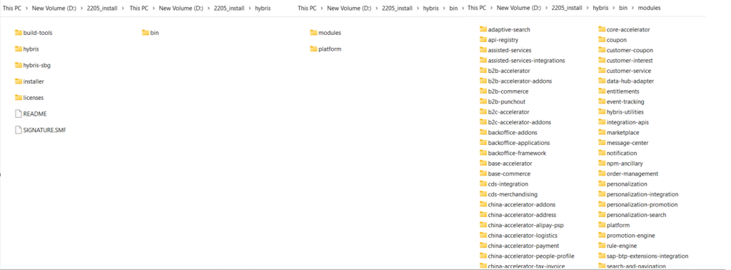 Hybris 2205 Initial Directory Structure